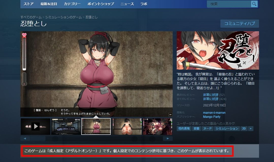 Steamでエロゲーを探す方法3